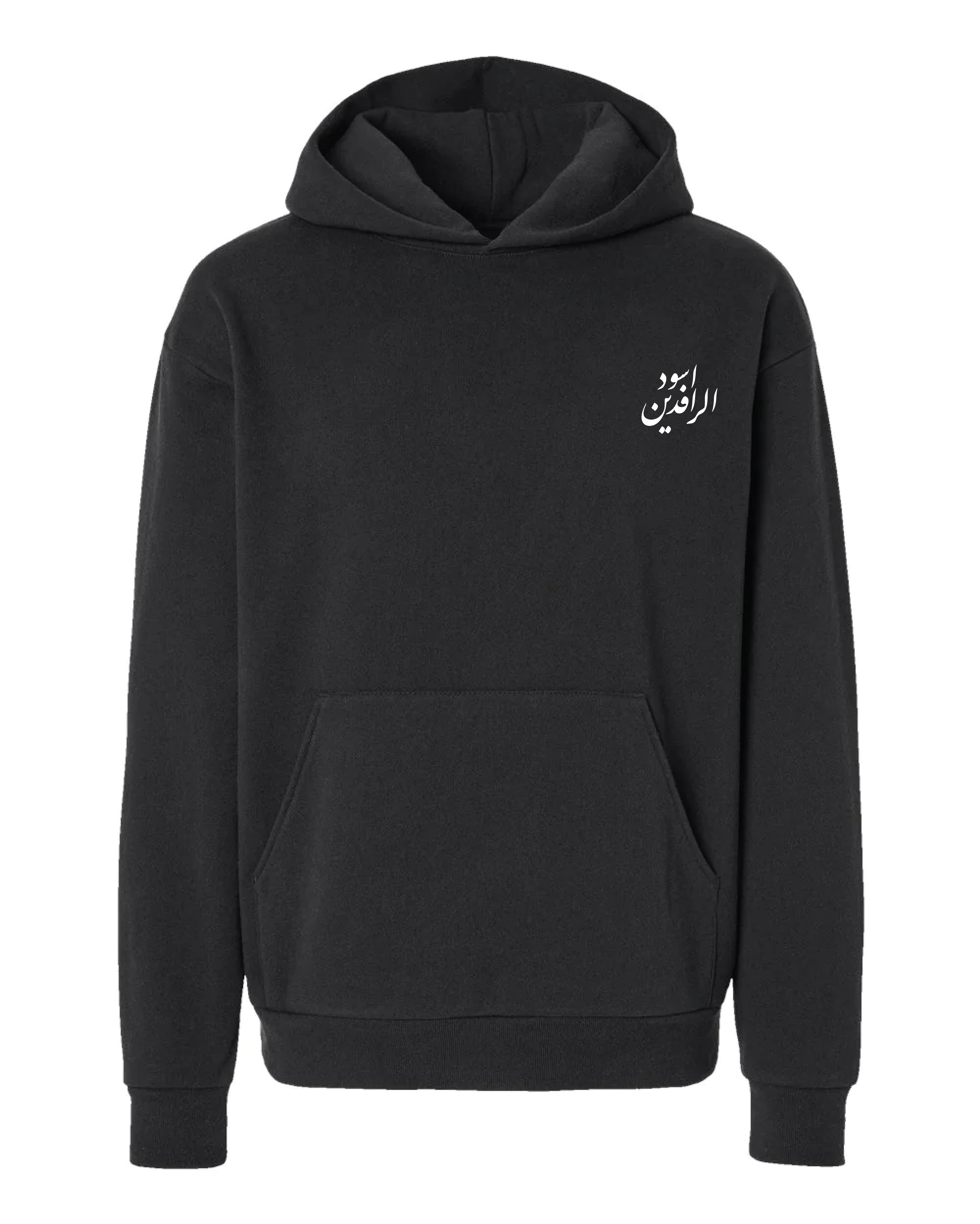 Lions of Mesopotamia Hoodie