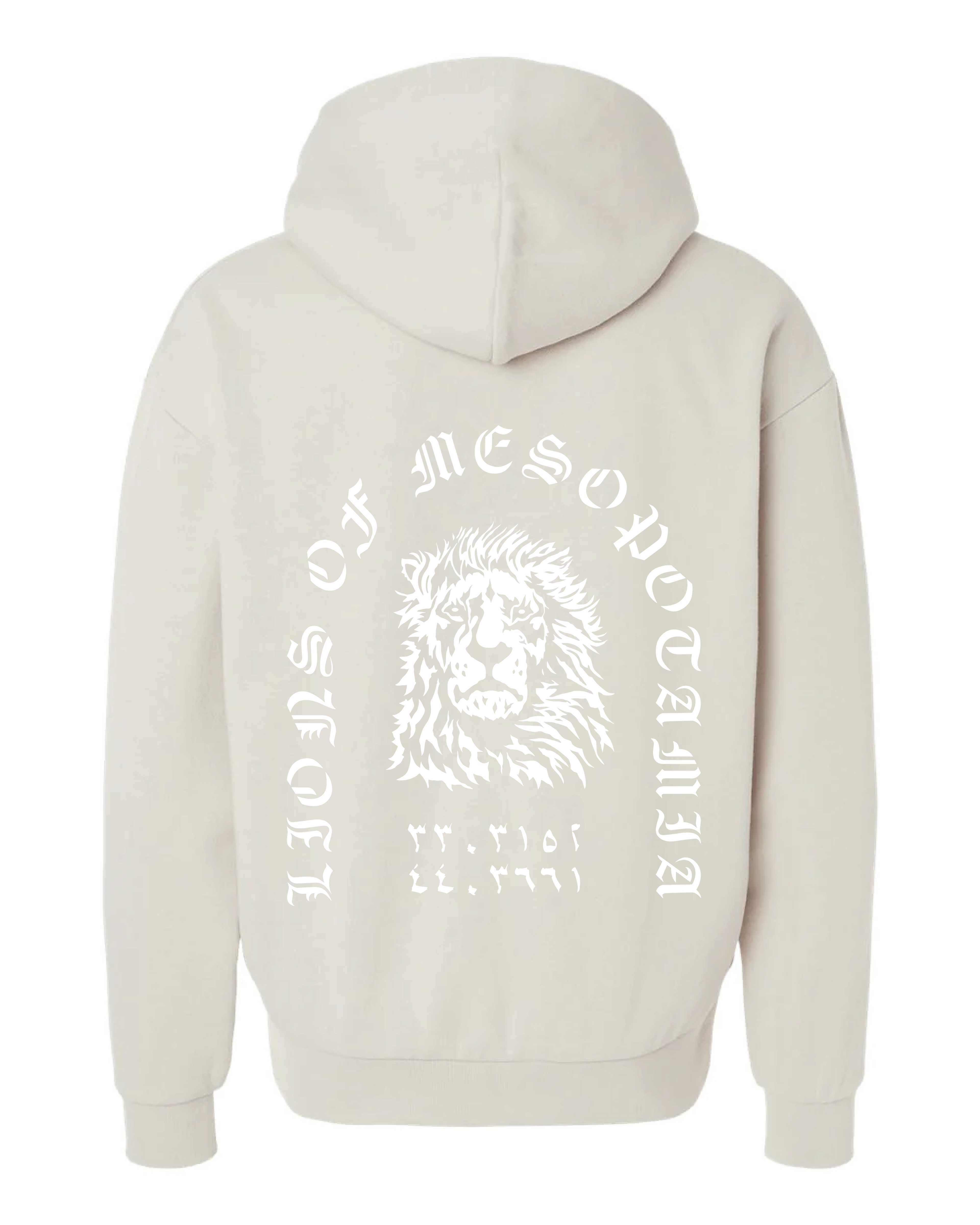 Lions of Mesopotamia Hoodie