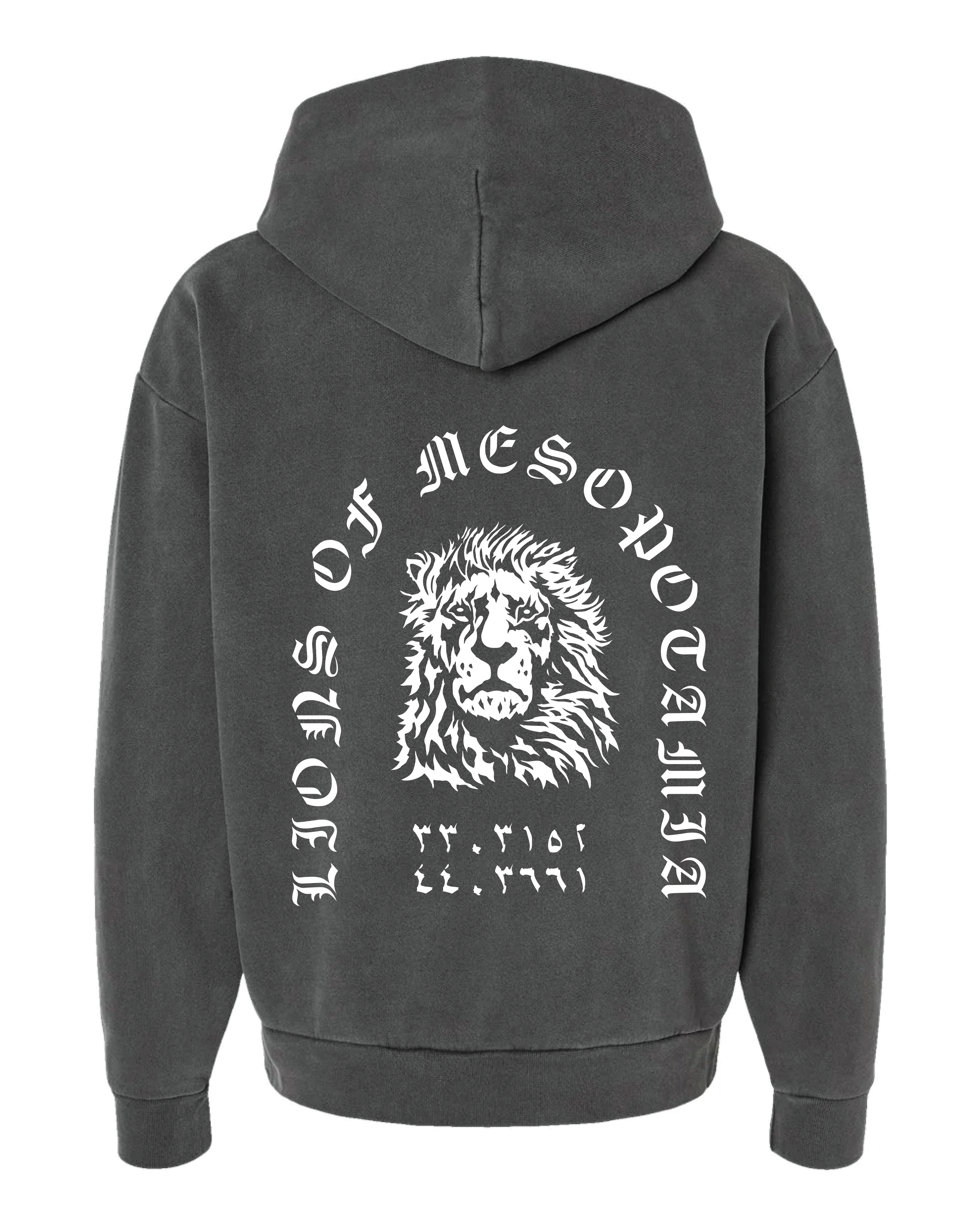 Lions of Mesopotamia Hoodie