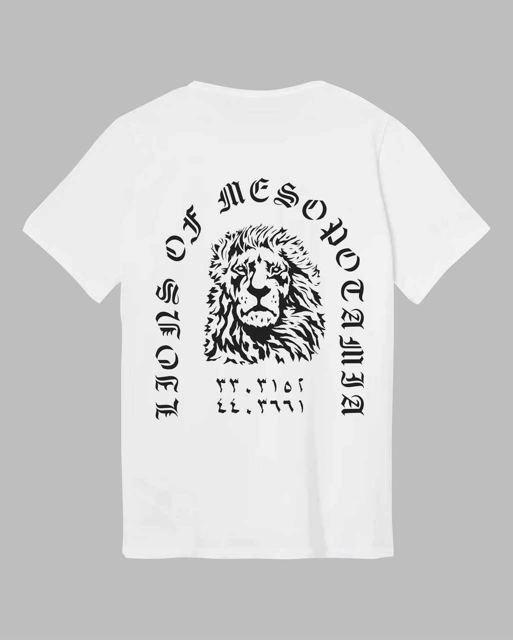 Lions of Mesopotamia Shirt