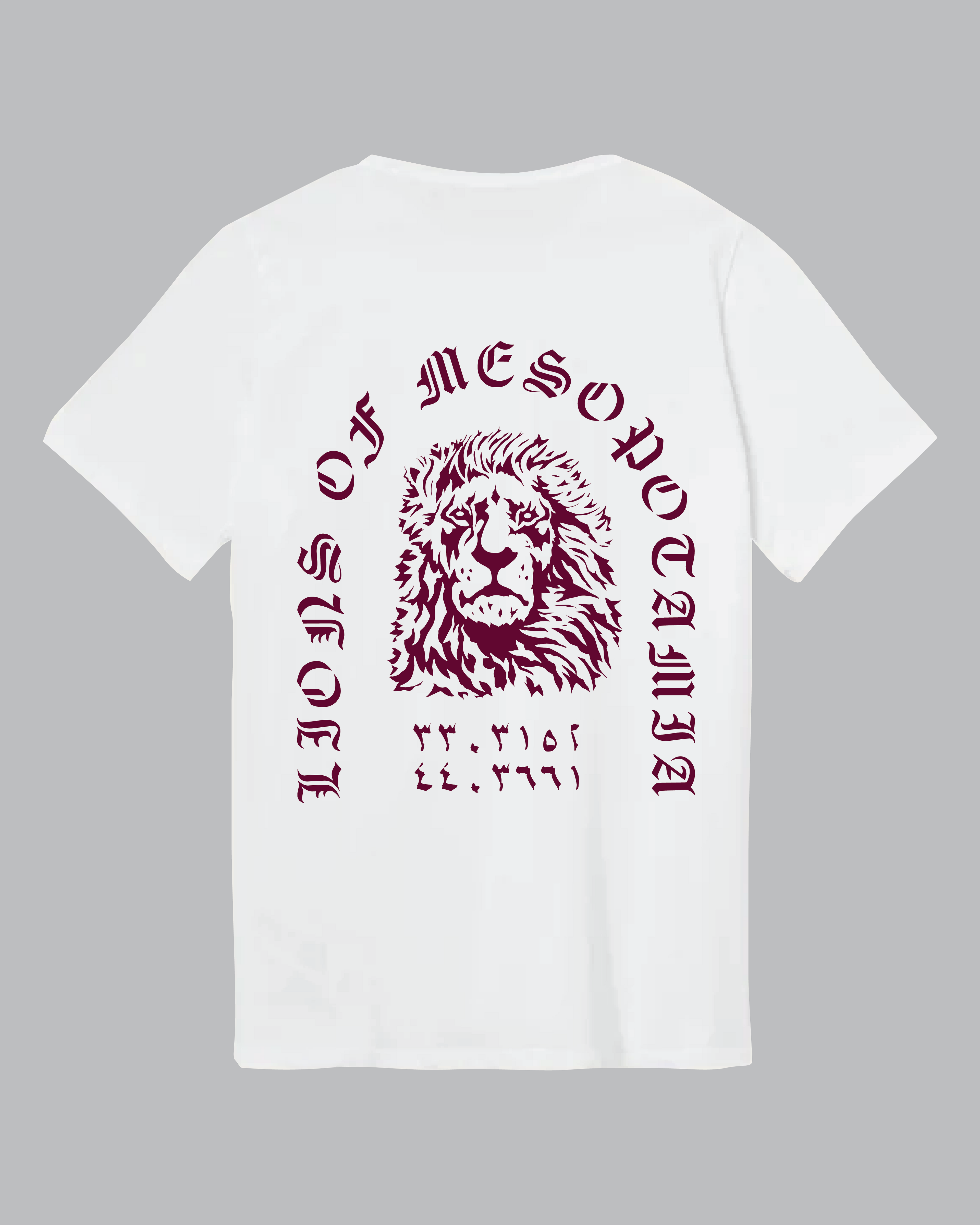 Lions of Mesopotamia Shirt