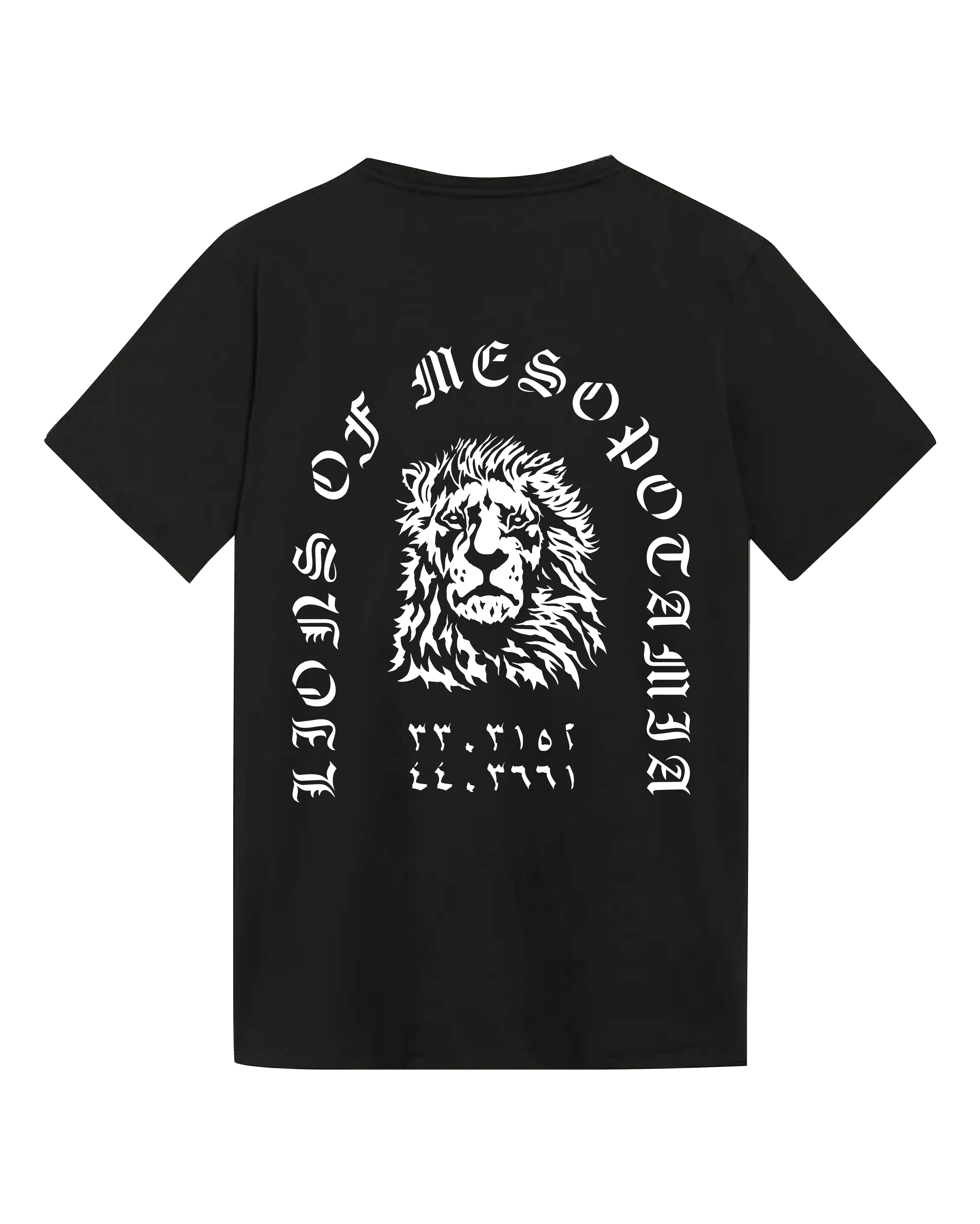 Lions of Mesopotamia Shirt