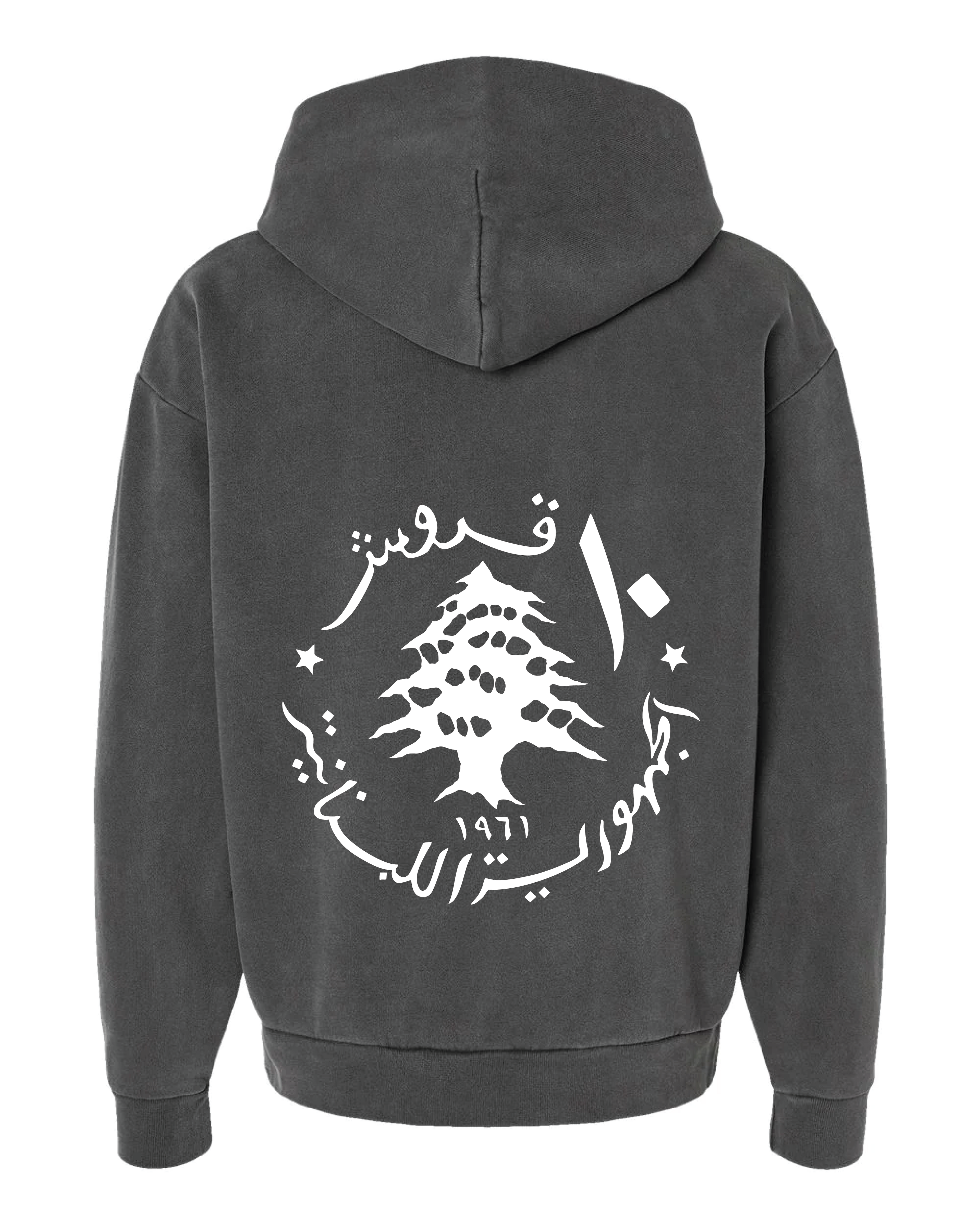 Twin Star Hoodie